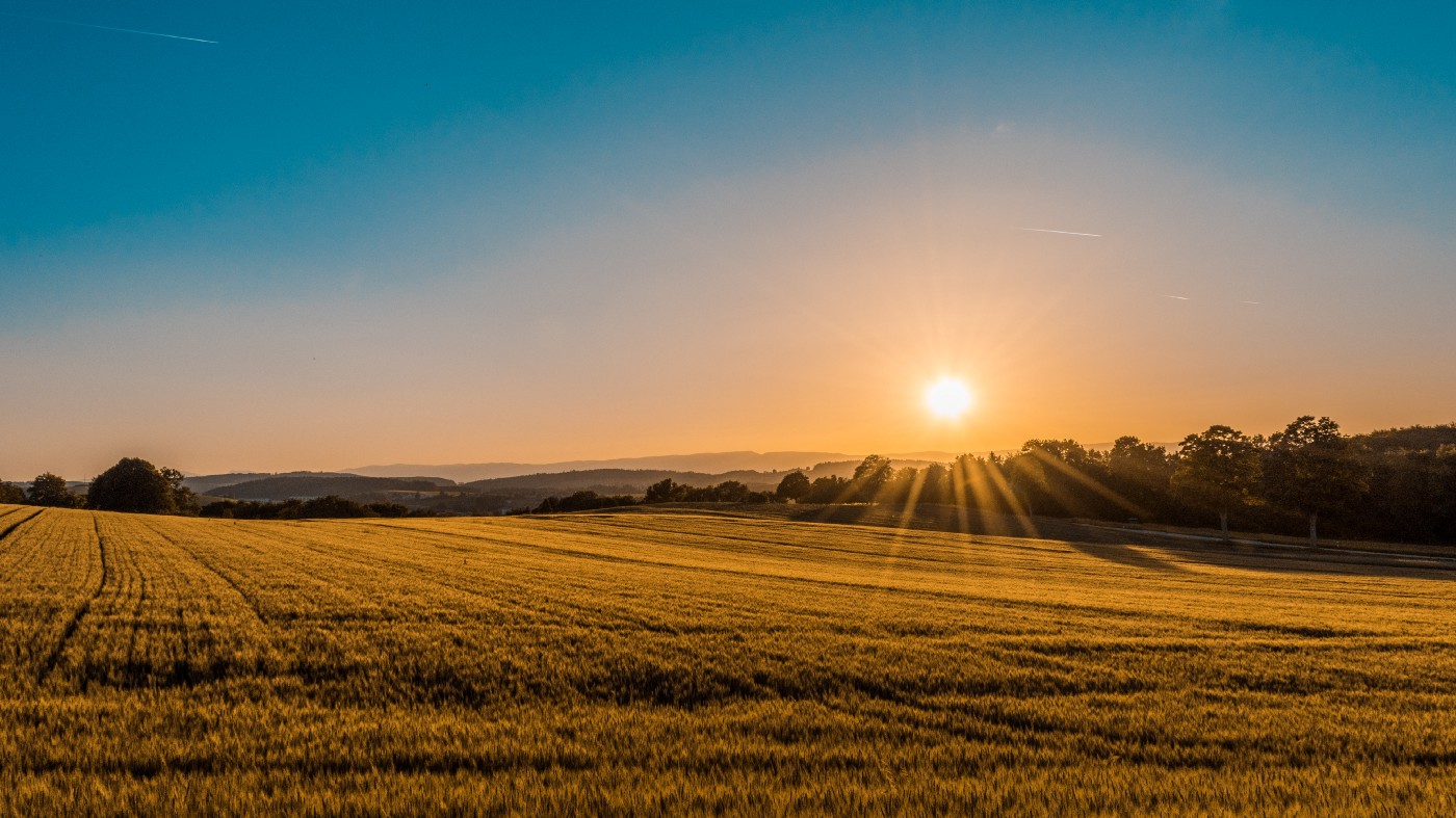 farmers voice Africa