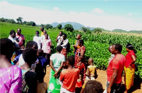 dedza mbeu yanga