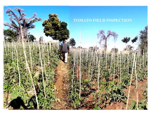 IRRIGATION